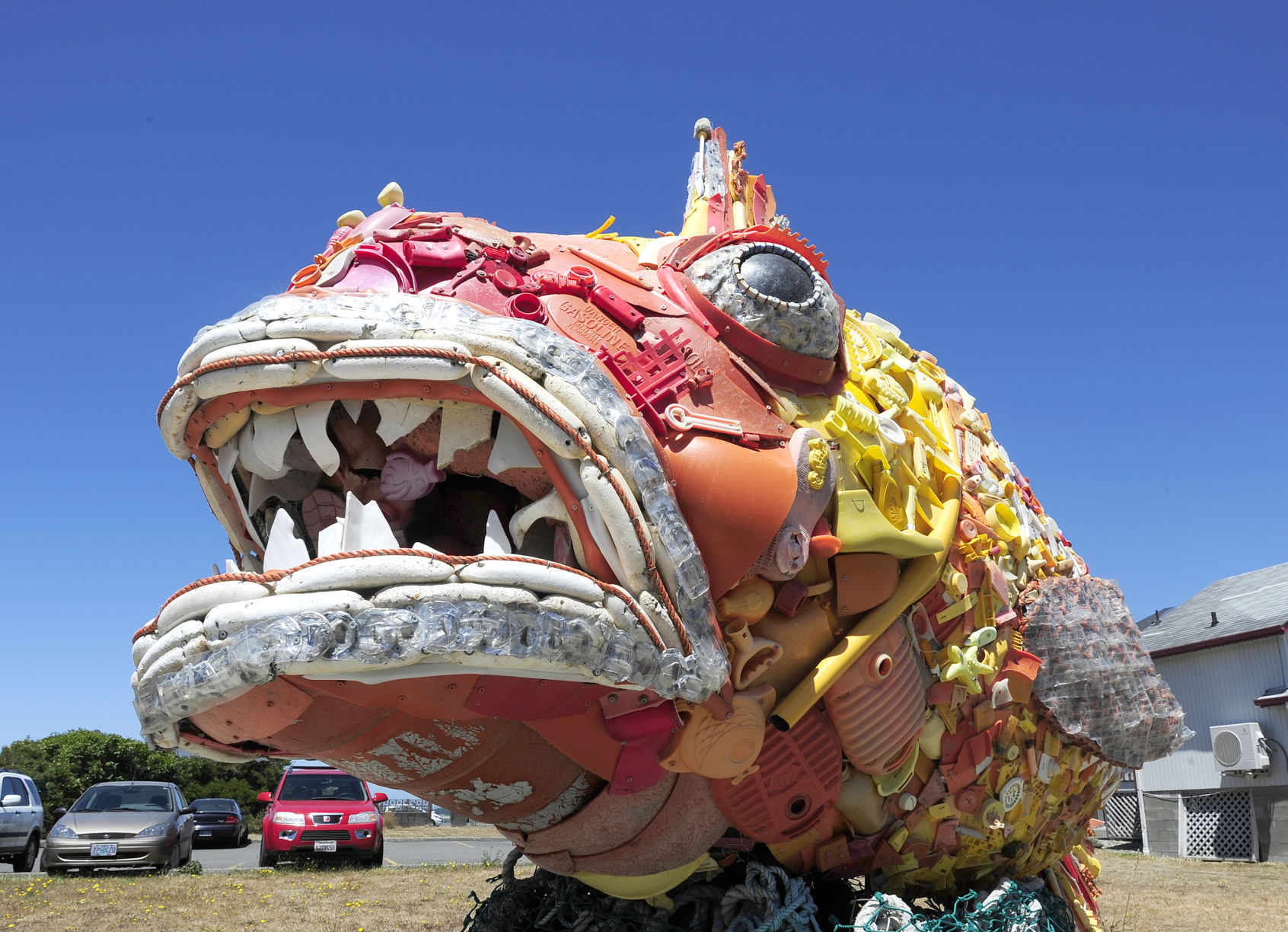 Washed Ashore